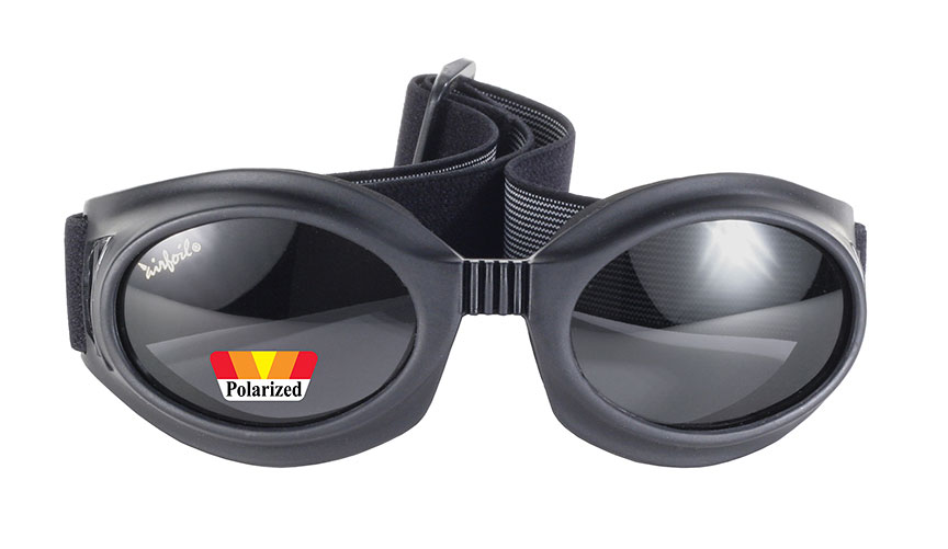 Pacific coast airfoil riding goggles deals